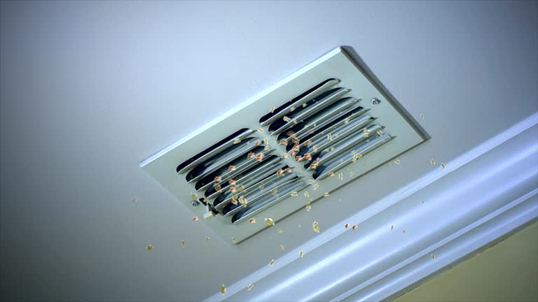 Best Air Duct Sanitizing Services  in Church Rock, NM